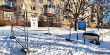 Eglučių surinkimas