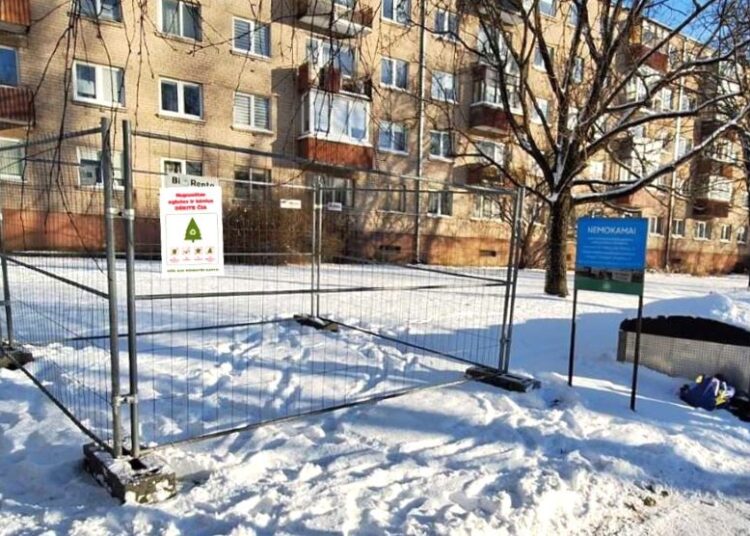 Eglučių surinkimas