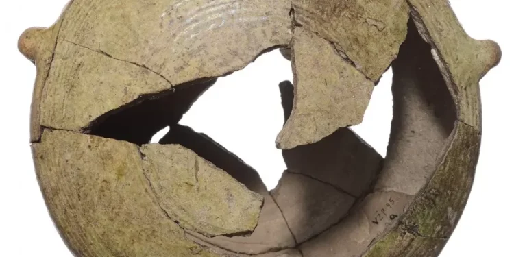 Tautavičius A., Urbanavičius V. Vilniaus Žemutinės pilies rūmų teritorijos 1995 m. archeologinių tyrimų ataskaita, Vilnius, 1996, radinio inv. Nr. 1372