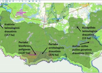 S. Birgelis. Kapčiamiesčio poligonas: tarp saugumo garantijų ir vietos žmonių nerimo
