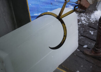 Filmo „Moving ice“ 2024 kadras