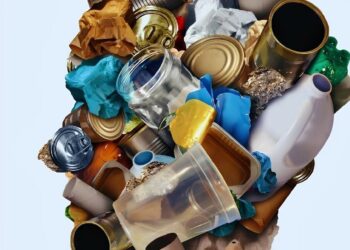 Šiukšlių fenomenologija