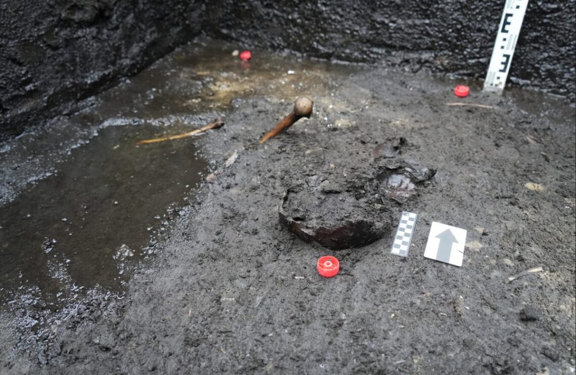 Tyrimų metu aptiktos skeleto dalys