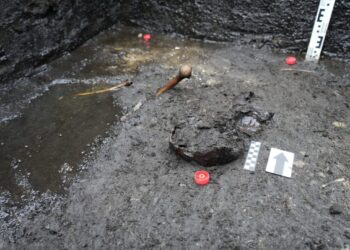 Tyrimų metu aptiktos skeleto dalys