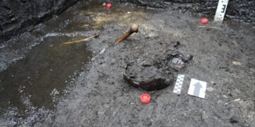 Tyrimų metu aptiktos skeleto dalys