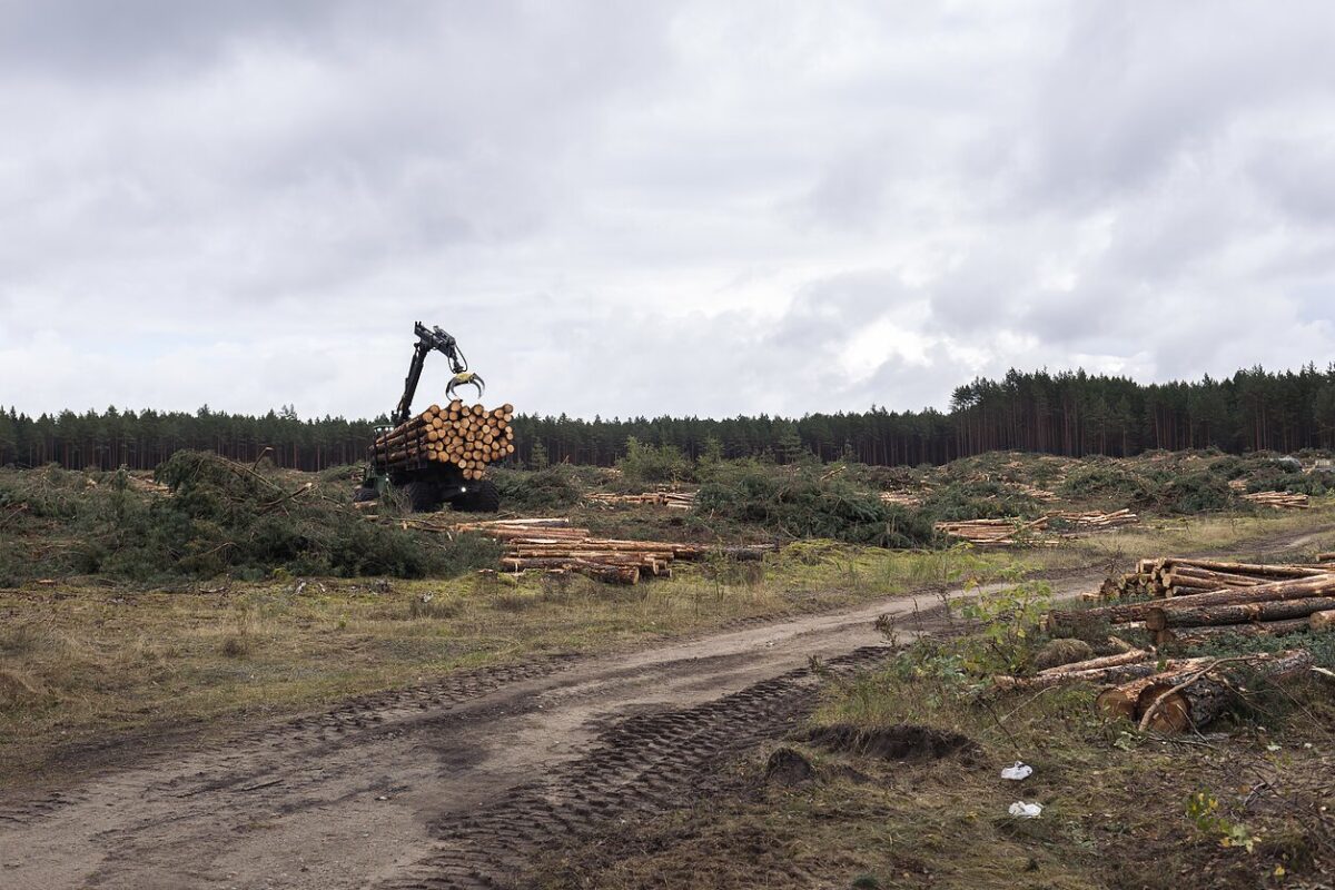 Kapčiamiesčio poligonas