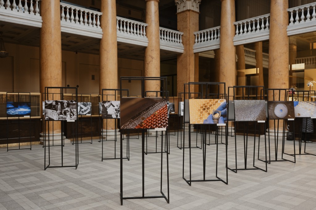 Lietuvos banko Kauno rūmuose – paroda apie pinigų kelią nuo gimimo iki sunaikinimo