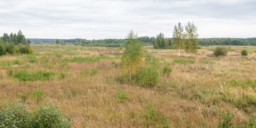 Baltosios Vokės šlapžemių kompleksas