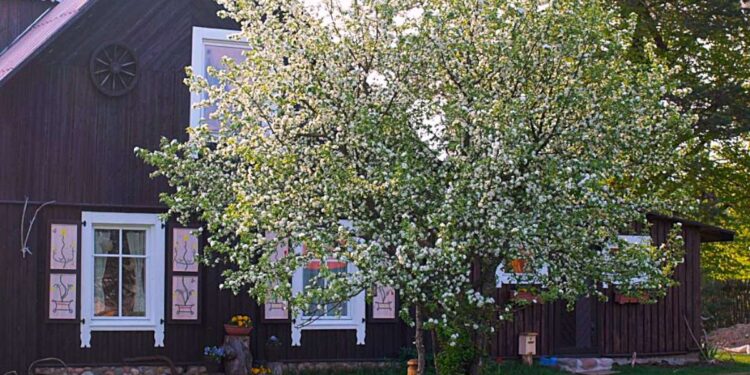 Ssodyba „Grikucis“, Varėnos raj.