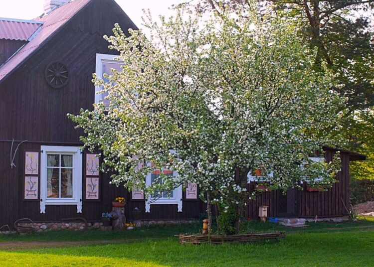 Ssodyba „Grikucis“, Varėnos raj.