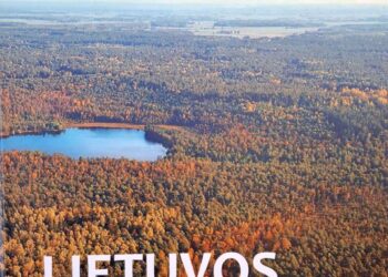 Knygos viršelis. Algirdas Brukas Gintautas Mozgeris, Lietuvos didžiagirės 2024 m.