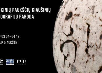 Laukinių paukščių kiaušinių nuotraukų paroda