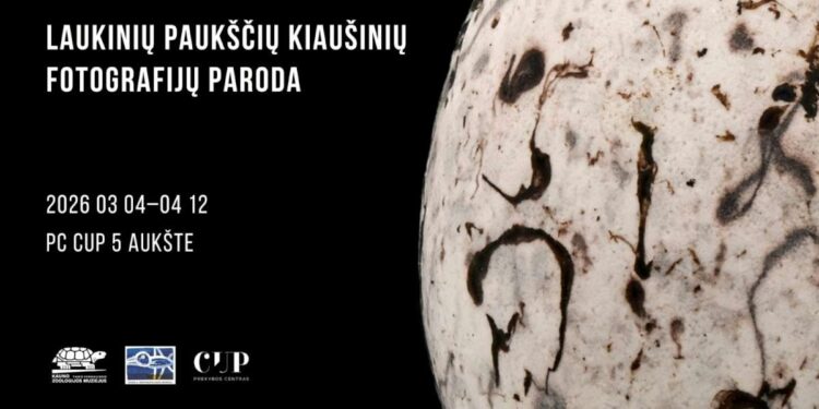 Laukinių paukščių kiaušinių nuotraukų paroda
