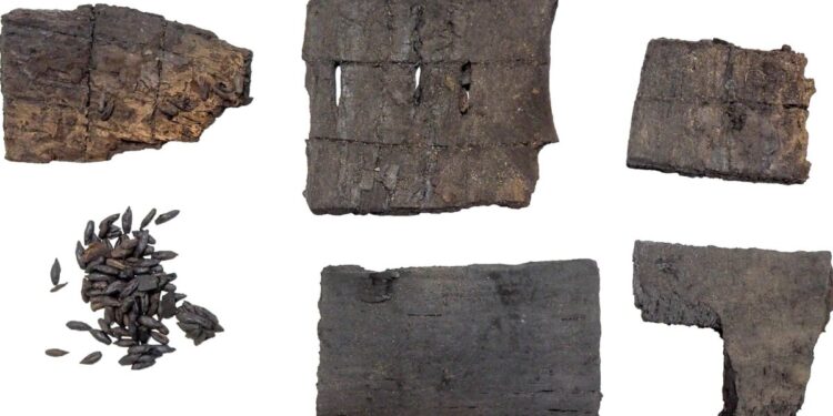 Laboratoriniai tyrimai pateikė naujų faktų apie Vilniaus pilių negandas XIV amžiuje