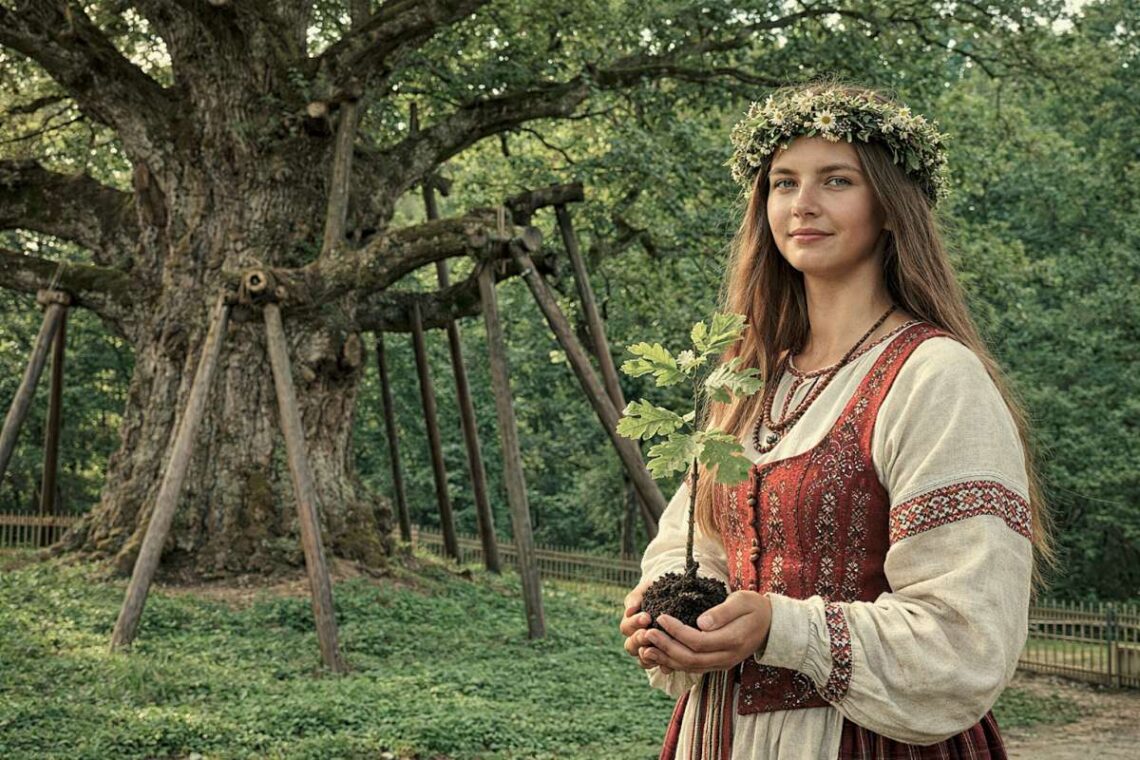 Mergina su tautiniais drabužiais laiko ąžuolo sodinuką Stelmužės ąžuolo fone