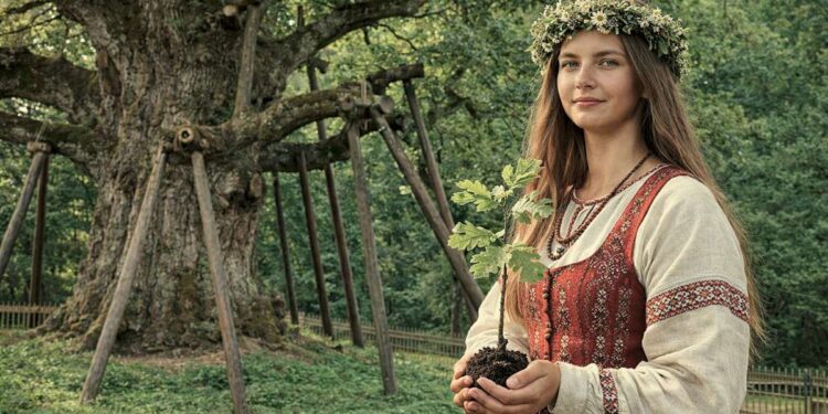 Mergina su tautiniais drabužiais laiko ąžuolo sodinuką Stelmužės ąžuolo fone