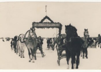 E. Musteikis. Dusetų greitieji žirgai paskatino įkurti Arklio muziejų