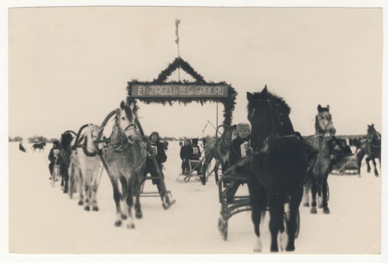 E. Musteikis. Dusetų greitieji žirgai paskatino įkurti Arklio muziejų