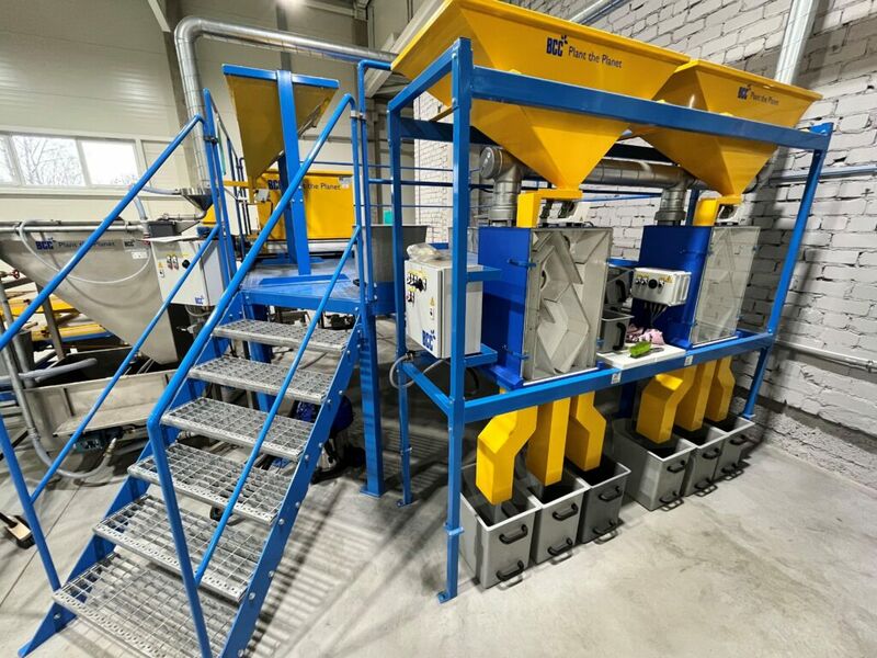 Vienintelė Lietuvoje kankorėžių aižykla