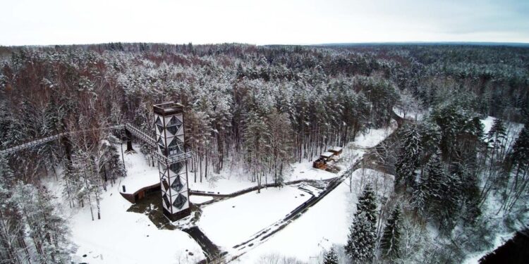 Žiemos kraštovaizdžiams apžvelgti – apžvalgos bokštai