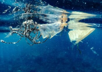 Itin maži, bet keliantys didelę grėsmę: kuo žmonijai pavojingas nanoplastikas?