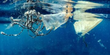 Itin maži, bet keliantys didelę grėsmę: kuo žmonijai pavojingas nanoplastikas?