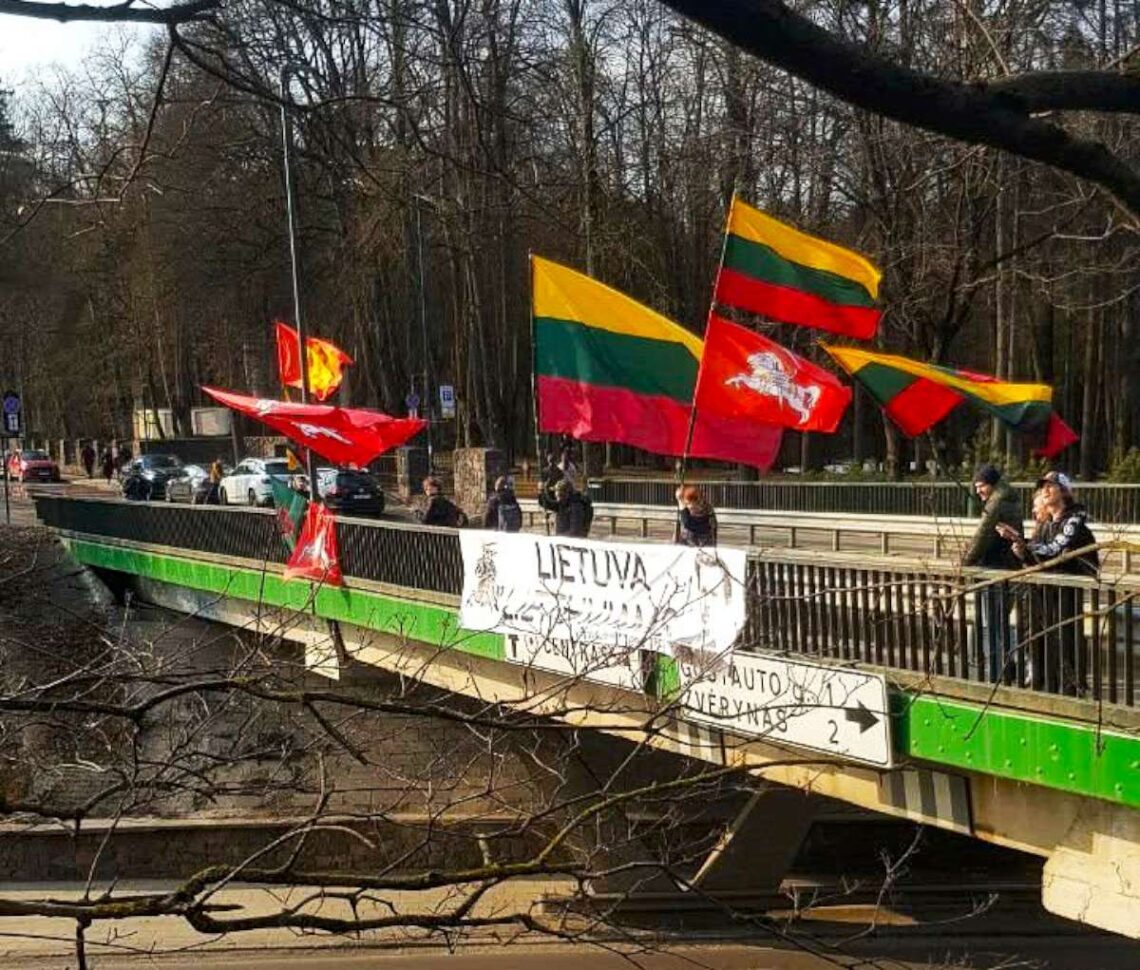 Kovo 11-osios akcijos bendras vaizdas su šūkiu „Lietuva lietuviams“