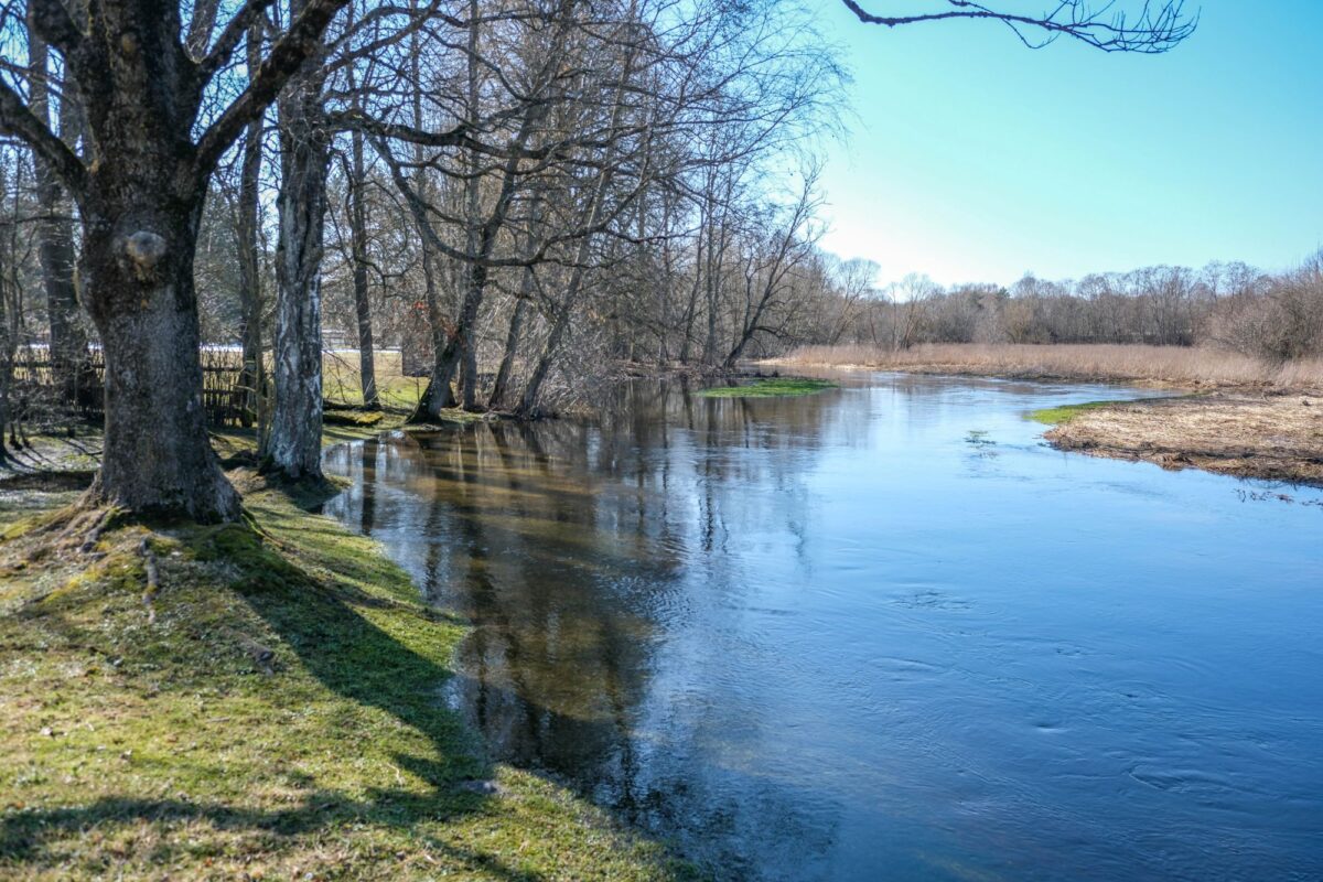 Kleboniškių muziejaus renginiuose – pažintis su išskirtiniu kaimu ir žolynų galiomis 