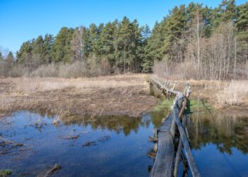 Kleboniškių muziejaus renginiuose – pažintis su išskirtiniu kaimu ir žolynų galiomis