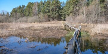 Kleboniškių muziejaus renginiuose – pažintis su išskirtiniu kaimu ir žolynų galiomis