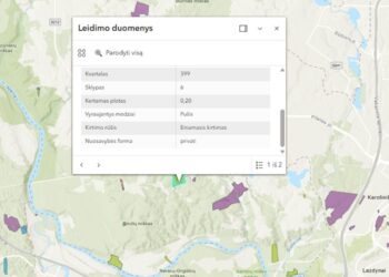 Pristatomas kasdien atnaujinamas Leidimų kirsti mišką žemėlapis