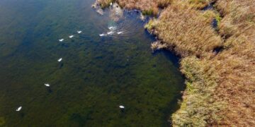 Stračiūnų herpetologinis draustinis