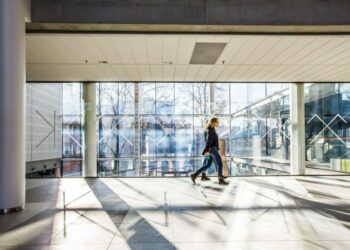 VDU tęsiama užsienio lietuvių dėstytojų lankymosi programa