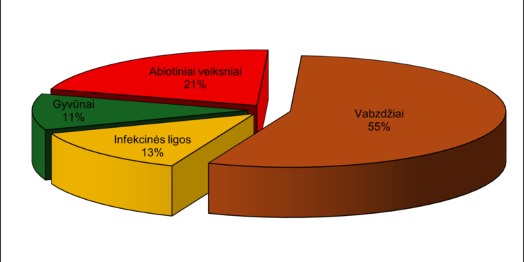 2025 metais miškuose registruotų pažeidimų pasiskirstymas pagal priežastis