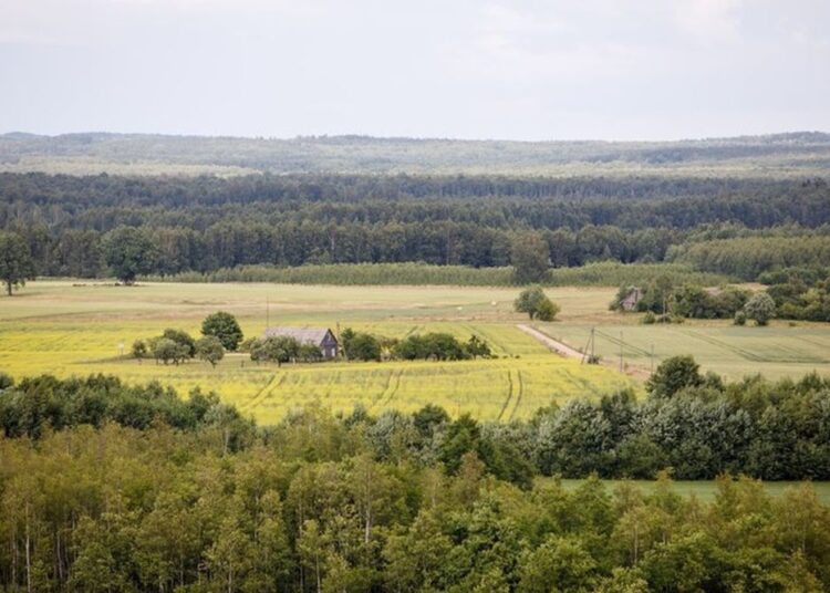 Žemė