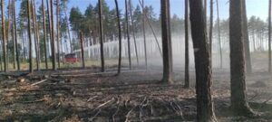 Ugnis pievose – pavojus miškams
