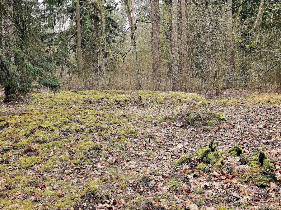 Jotvingių pilkapynas Šveicarijoje (Lenkija) prie-Suvalkų