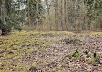 Jotvingių pilkapynas Šveicarijoje (Lenkija) prie-Suvalkų