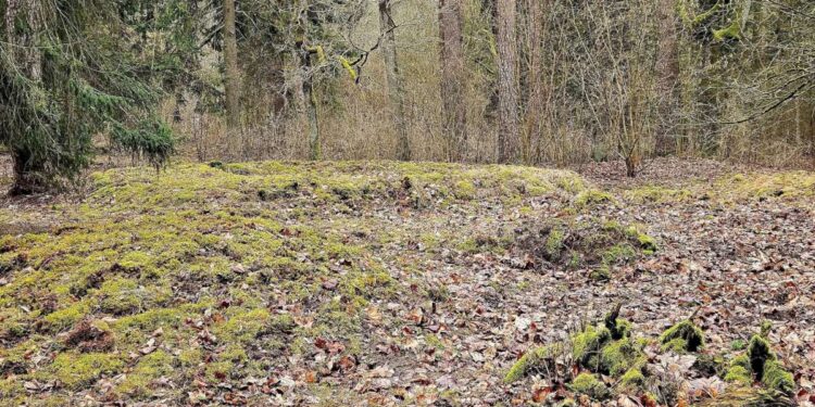 Jotvingių pilkapynas Šveicarijoje (Lenkija) prie-Suvalkų
