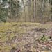 Jotvingių pilkapynas Šveicarijoje (Lenkija) prie-Suvalkų