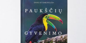 Knyga apie paukščius