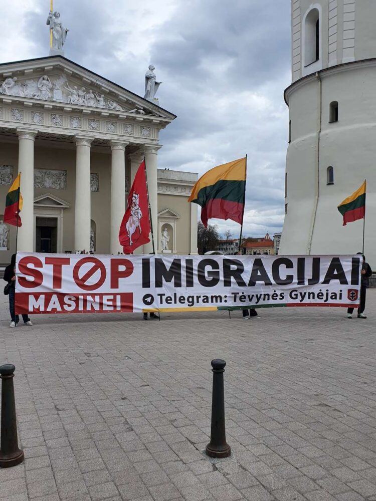Akcijos dalyviai prie Katedros apie pusvalandį laikė iškėlę šūkį – „Stop masinei migracijai“ 