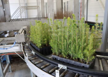 Panevėžio medelyne pradėjo veikti šiuolaikinė sėklų saugykla