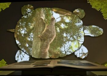 Atnaujintos parodos fragmentas