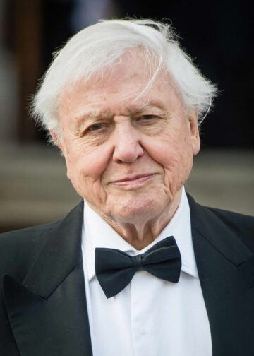 Deividas Atenboras (David Attenborough)