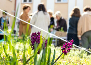 Vilniečiai kviečiami mainytis augalais ir knygomis