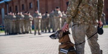 Į atsargą išleidžiama Kaira