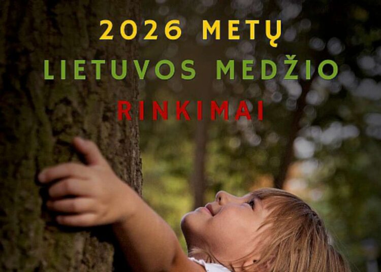 Maža mergaitė apglėbusi storą medį