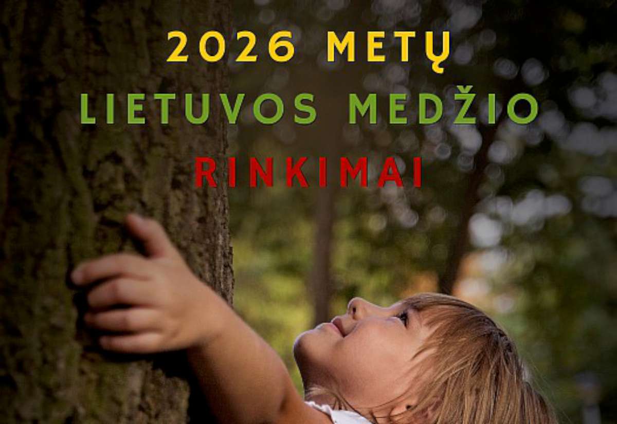 Maža mergaitė apglėbusi storą medį