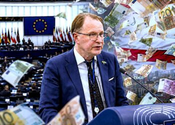Dainius Žalimas Europos Parlamente, koliaže pavaizduoti byrantys eurai ir Baltarusijos opozicijos vėliavos spalvos